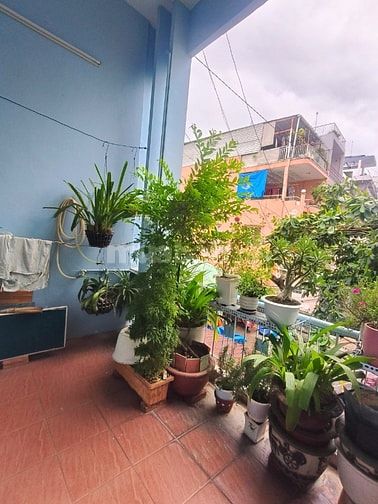 Bán nhà hẻm 3m(BG) Nguyễn Trãi P.2, Q.5 giá 8 tỷ