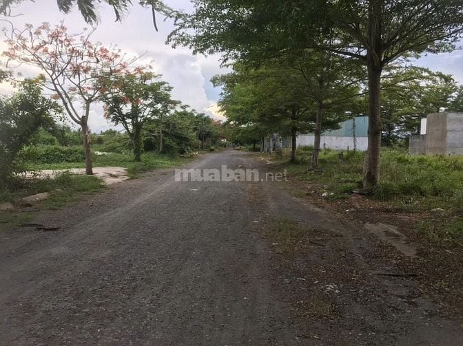 CHÍNH CHỦ CẦN BÁN ĐẤT LONG HÒA – LONG AN GIÁ TỐT