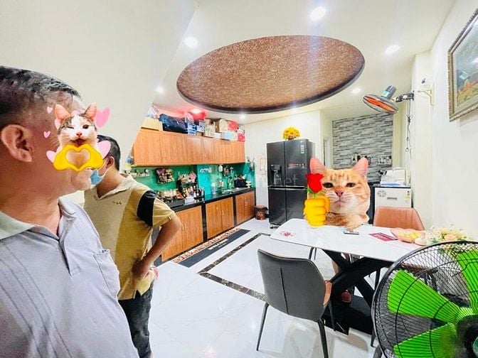 Bán nhà rẻ đẹp hxh (4x15) 496/46 Dương Quảng Hàm P5 Gò Vấp (bờ kè 