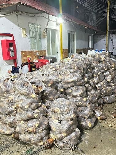 Tuyển LDPT cho xưởng chế biến nông sản.
