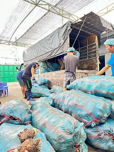 Tuyển nhân công cho xưởng sản xuất nông sản.