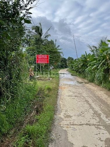 Công ty đấu giá hợp danh Sao Việt 