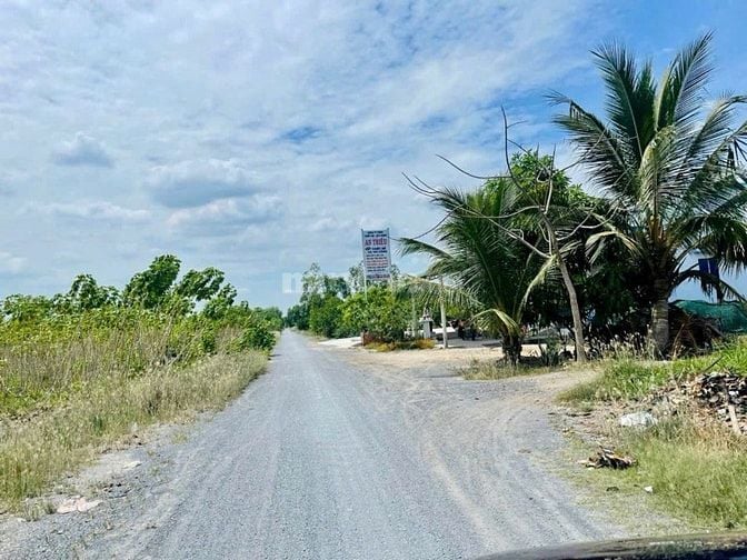 Siêu phẩm 1000mv vườn Mặt Tiền đường Năm Liệt đang trải nhựa cần bán 
