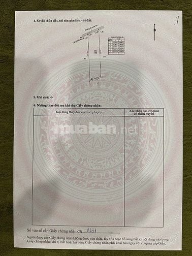 Siêu phẩm 1000mv vườn Mặt Tiền đường Năm Liệt đang trải nhựa cần bán 
