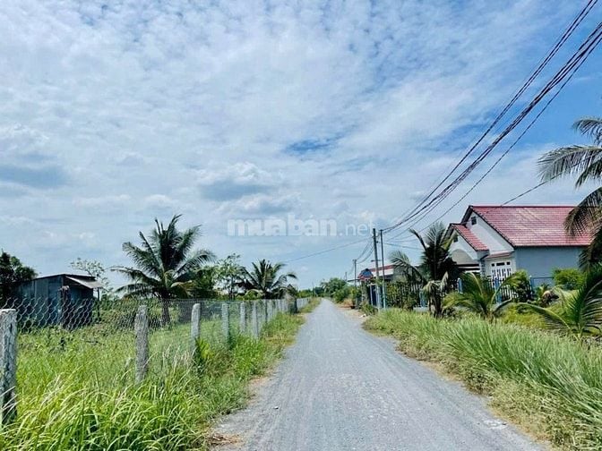 Siêu phẩm 1000mv vườn Mặt Tiền đường Năm Liệt đang trải nhựa cần bán 