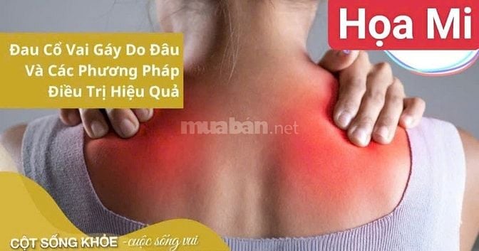 Bấm huyệt kích hoạt các nhóm cơ vùng mông, lưng, vai, cổ, sàn chậu.