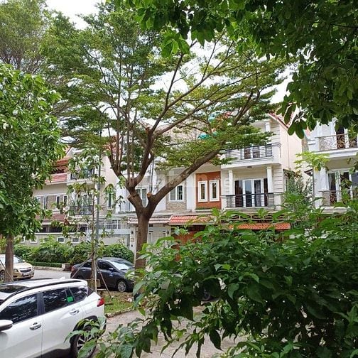 Bán biệt thự 468/ Phan Văn Trị, P.7, Gò Vấp: 8 x 15, giá 17,7 tỷ