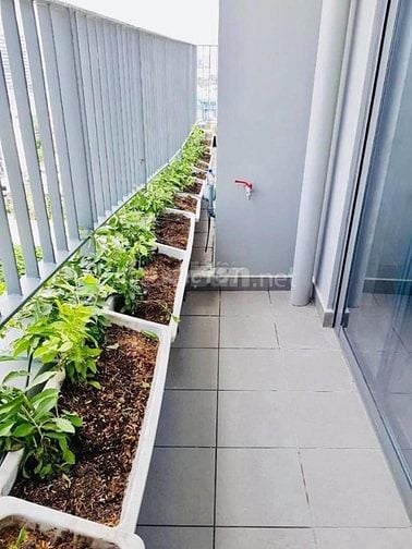 Cho Thuê Căn hộ Chung Cư Cao Cấp Quận 8