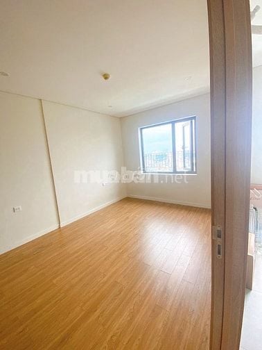 Cho Thuê Căn hộ Chung Cư Cao Cấp Quận 8