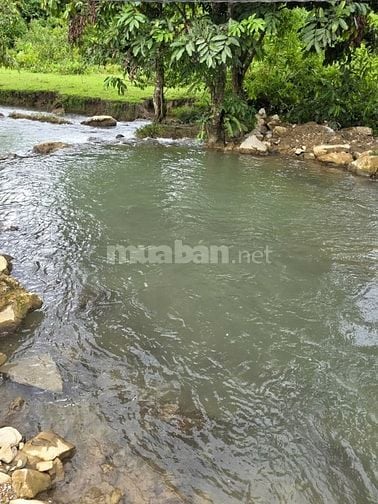 Bán đất view suối đẹp tuyệt tại Định Quán Đồng Nai 850tr/1000m2