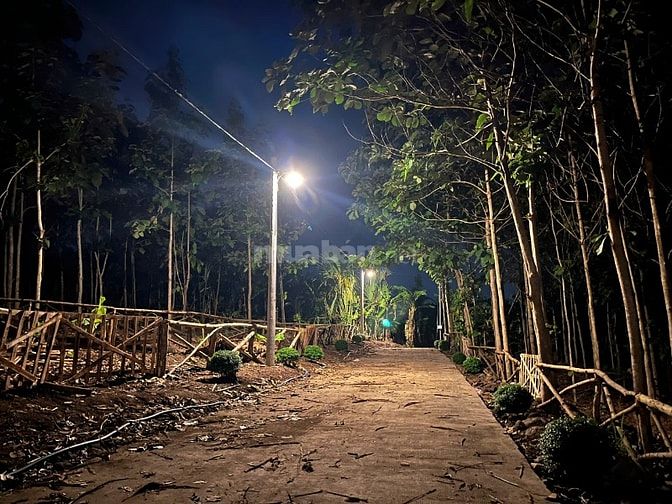 Bán đất view suối đẹp tuyệt tại Định Quán Đồng Nai 850tr/1000m2