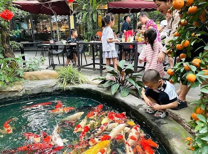 VIỆC LÀM BÁN THỜI VỤ VÀ LÂU DÀI 