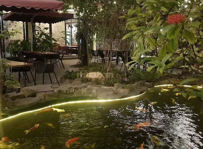 VIỆC LÀM BÁN THỜI VỤ VÀ LÂU DÀI 