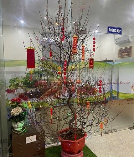 Cho thuê biệt thự ở làm vp cty 800m2 gần khu công nghiệp amata 