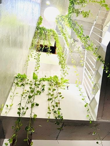 CHO THUÊ NHÀ NGUYÊN CĂN 5 TẦNG KHU VỰC HÒA XUÂN