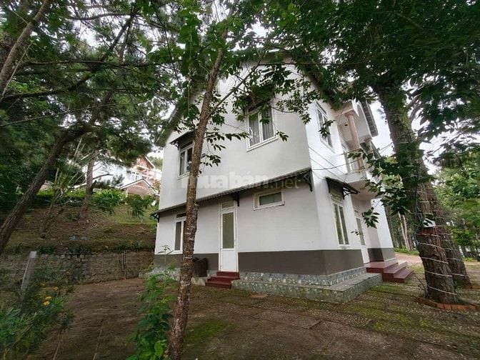 Cho thuê villa sân vườn 5 phòng tại phường 8 đà lạt 25 triệu/tháng 