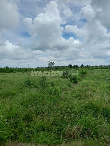 Bán đất tại ấp Tân Hòa, xã Tân Bình, TP.Tây Ninh, tỉnh Tây Ninh