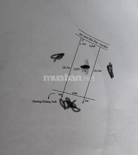 Bán 274m2 đất ODT phường Tân Khánh, TP Tân An, tỉnh Long An