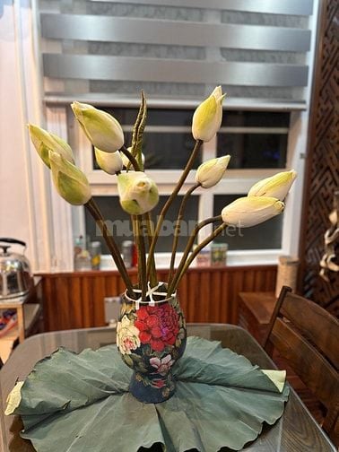 bán nhà ngõ phố Đặng văn ngữ- p Nam Đồng