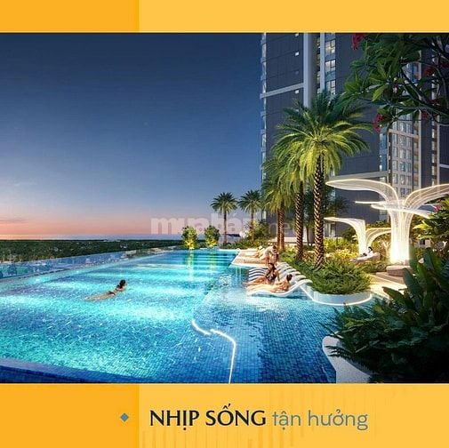 MASTERI ĐÀ NẴNG CĂN HỘ CAO CẤP CHO NGƯỜI ĐẦU TƯ THÔNG MINH