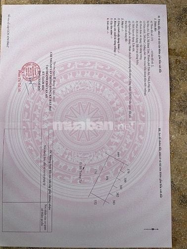 Chính chủ, cần bán đất mặt tiền Đỗ Tường Tự, Bình Tâm, LA
