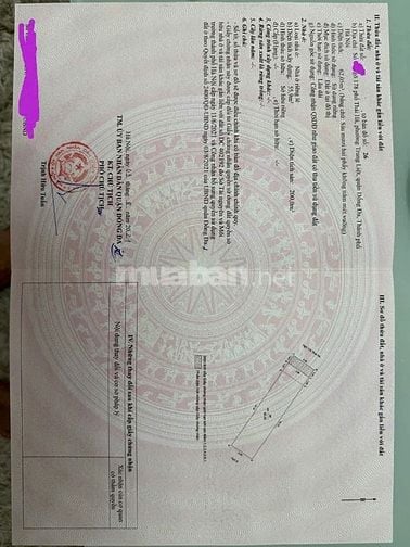 Bán nhà 7 tầng mặt ngõ 178 Thái hà