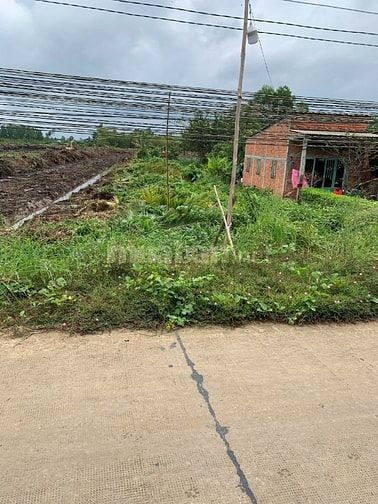 Kinh doanh thua lỗ cần thanh lý gấp Đất THỔ CƯ NGỘP BANH 