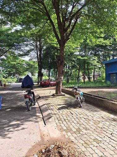 Bán đất đường A1 Phước Long B Quận 9 cũ giá 17,5 tỷ