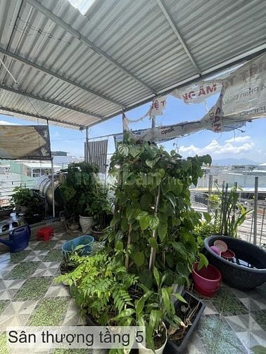 Nhà 2 kiệt, Phạm Nhữ Tăng 2,5m.(5 tầng)75m2,dtsd:200m2,giá:4.5 tỷ