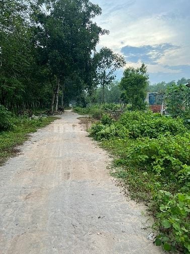 Đất mặt tiền Bàu Lách( mặt tiền vành đai 4) Phạm văn Cội , Củ Chi 