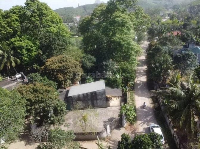 hàng  nóng xóm Bãi cả Bảo Hiệu