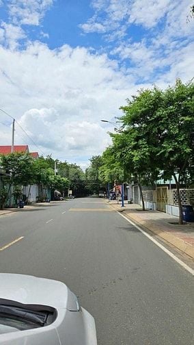 Nhà em có vườn sầu riêng năm 3 gần đến mùa thu hoạch muốn đi gấp