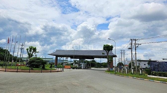 Nhà em có vườn sầu riêng năm 3 gần đến mùa thu hoạch muốn đi gấp
