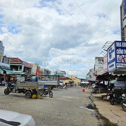 Nhà em có vườn sầu riêng năm 3 gần đến mùa thu hoạch muốn đi gấp