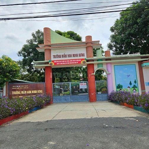 Nhà em có vườn sầu riêng năm 3 gần đến mùa thu hoạch muốn đi gấp