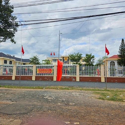 Nhà em có vườn sầu riêng năm 3 gần đến mùa thu hoạch muốn đi gấp