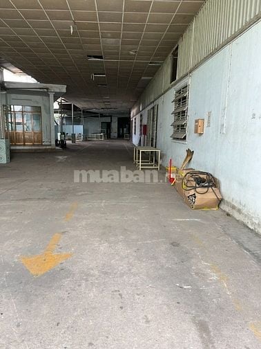 Cho thuê 3100m2 kho xưởng + đất Phạm Văn Chiêu P14 Gò Vấp. Giá 250tr/1