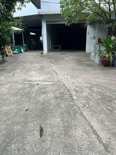 Cho thuê 3100m2 kho xưởng + đất Phạm Văn Chiêu P14 Gò Vấp. Giá 250tr/1