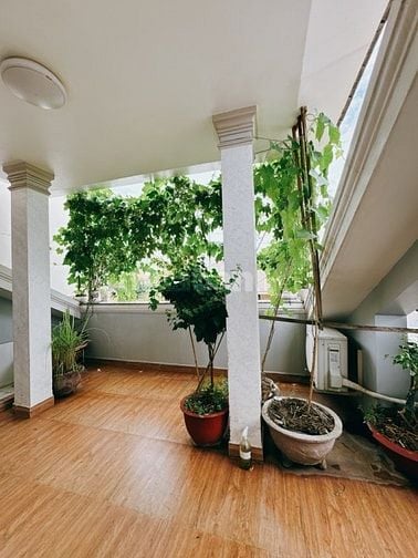 Cho thuê nguyên căn biệt thư sân vườn