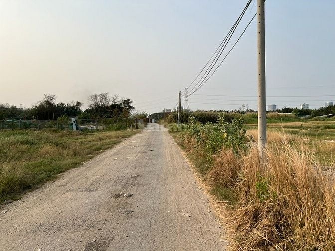 Cho thuê 7.000 m2 đất hẻm 366 Phạm Hữu Lầu, Phước Kiển, Nhà Bè 
