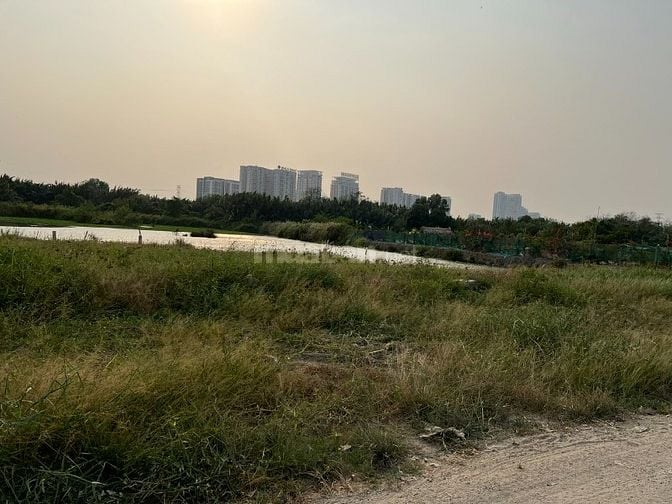 Cho thuê 7.000 m2 đất hẻm 366 Phạm Hữu Lầu, Phước Kiển, Nhà Bè 