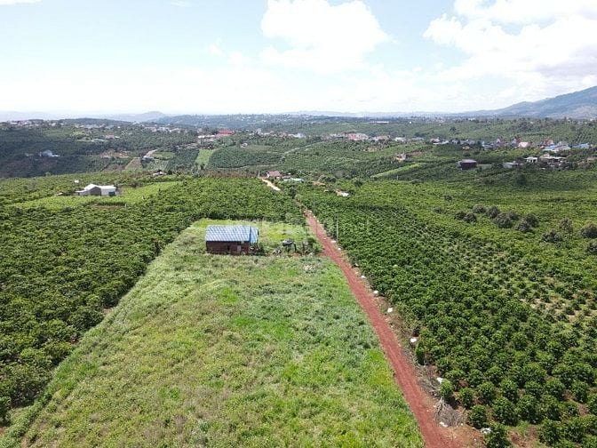 Đất thổ cư Đinh Lạc view đẹp thích hợp nghỉ dưỡng