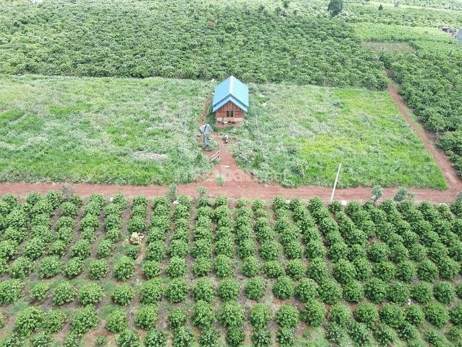 Đất thổ cư Đinh Lạc view đẹp thích hợp nghỉ dưỡng