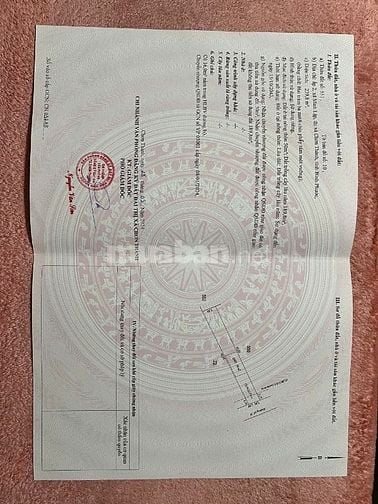 Chính chủ cần bán đất Minh Lập (Chơn Thành)