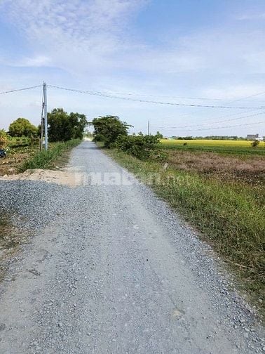 Cần bán gấp nhà mặt tiền đường xe tải gần biển 