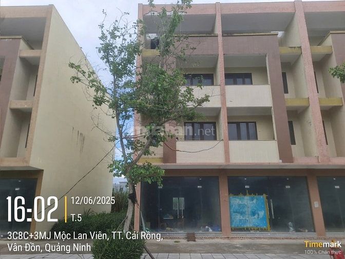 TBĐG thửa đất 67; Tờ BD 36 tại Khu 7, đặc khu Vân Đồn, Tỉnh Quảng Ninh