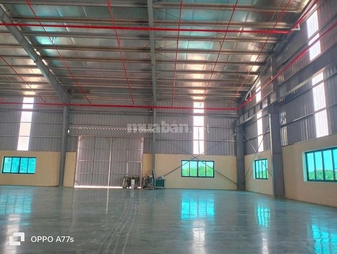 Cho thuê kho xưởng Trần Văn Giàu, Bình Tân,KV: 3.500m2,xưởng : 2.200m2