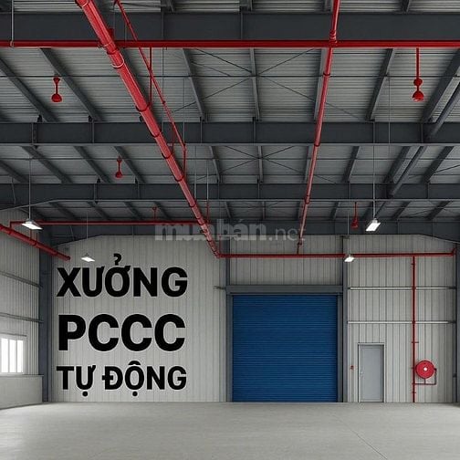 Bán Xưởng Mới Xây 3.800m2 Tại KCN Hòa Bình , Giá Chỉ :  43.5 Tỷ ( TL)