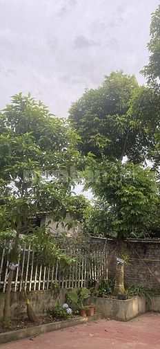 Bán nhà vườn đầy đủ tiện nghi chỉ việc xách vali về ở.