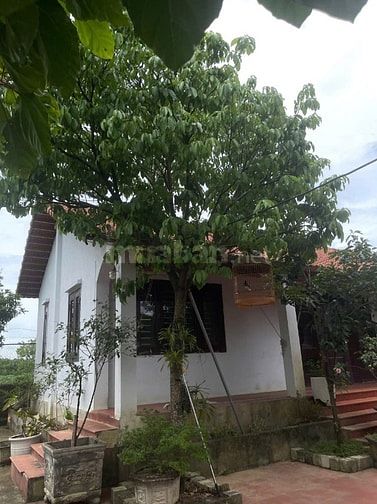 Bán nhà vườn đầy đủ tiện nghi chỉ việc xách vali về ở.